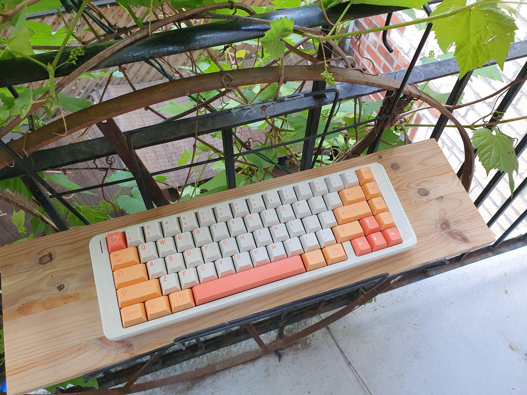 An image with filename: g2uqe7irgy251.jpg
