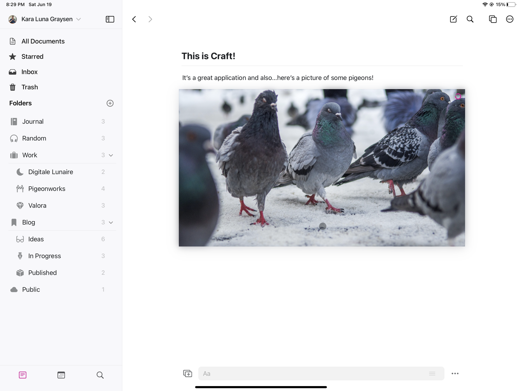 An image with caption: Screenshot of the app Craft.